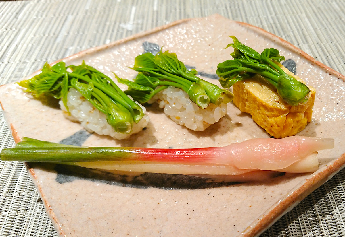 コシアブラの握りずし