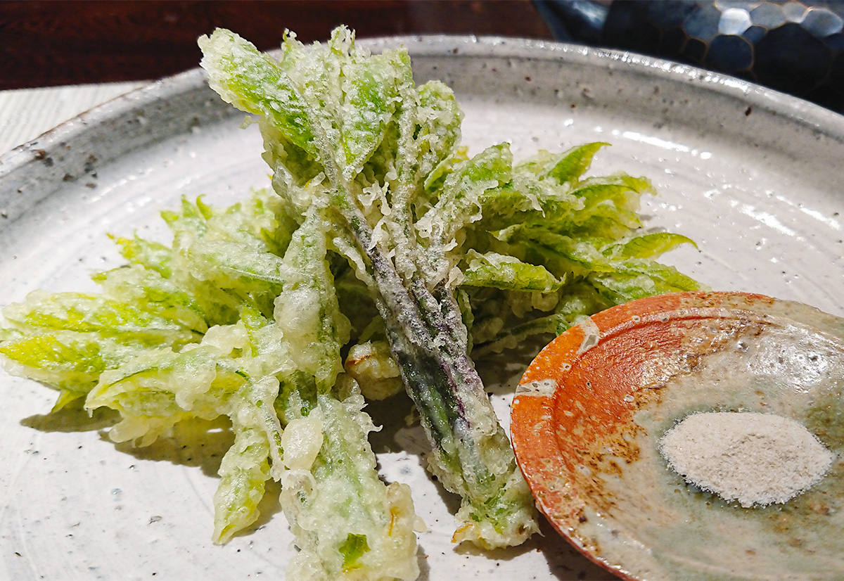 コシアブラの天ぷら