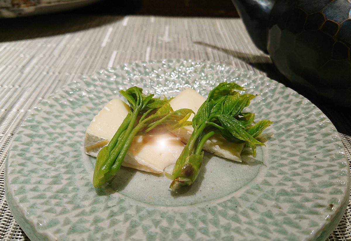 コシアブラwithカマンベールチーズ